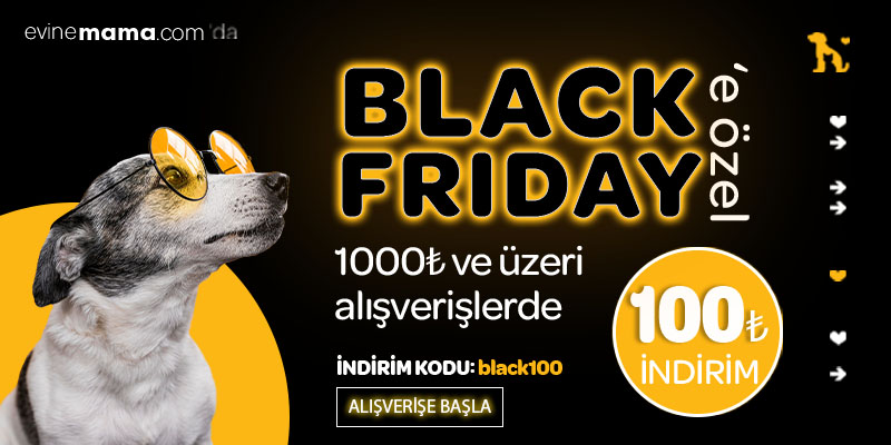 100TL Evinemama Black Friday Özel Kupon Kodu Temmuz 2024 | Kuponla.com